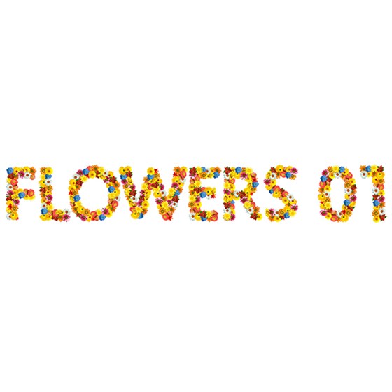 Логотипы: "Flowers 01" 